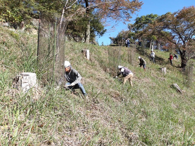 �����{�����e�B�A�ʐ^